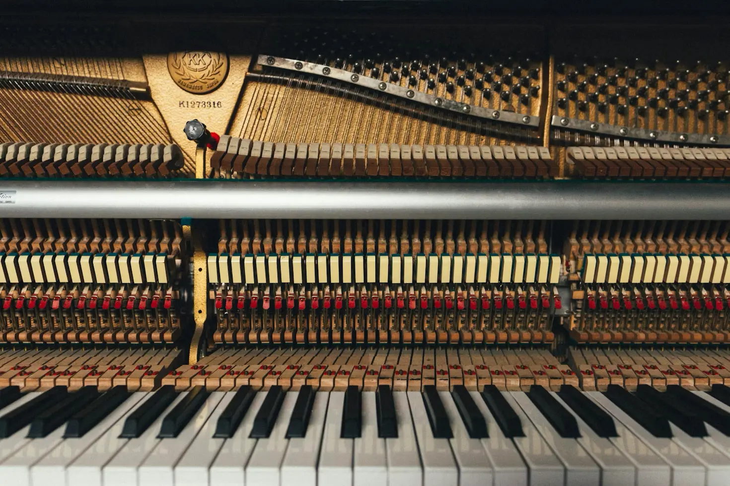 Piano Action (Interior)